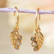 Lade das Bild in den Galerie-Viewer, MUJA JUMA Ohrringe NIGELLA, Prenit, in Gold