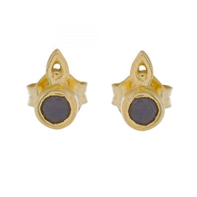 Lade das Bild in den Galerie-Viewer, MUJA JUMA Ohrstecker, Labradorith in Gold