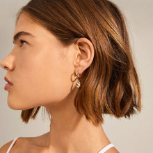 Lade das Bild in den Galerie-Viewer, PILGRIM Ohrringe Creolen THANKFUL Münze, in Gold